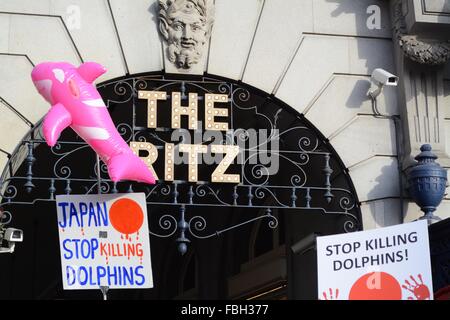 London, UK. 16. Januar 2016. Aufblasbarer Delphin schwimmt mit dem legendären Ritz-Zeichen als Protesers vorbei marschieren. Bildnachweis: Marc Ward / Alamy Live News Stockfoto