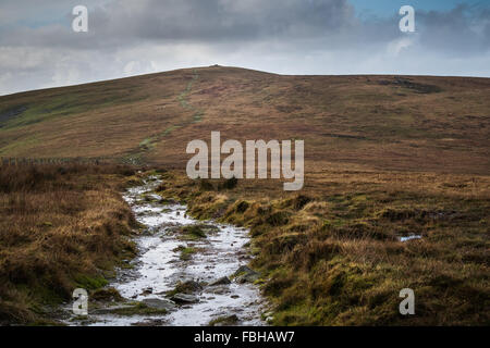 Foel Eryr, Preseli-Berge, Pembrokeshire, Wales, Großbritannien Stockfoto