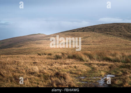 Die Goldene Straße über der Preseli-Berge, Pembrokeshire, Wales, Großbritannien Stockfoto