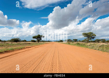 Unbefestigte Straße, Solitaire, Wüste Namib, Namib-Naukluft-Park, Republik Namibia Stockfoto