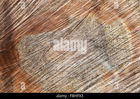 Textur des einen Sägeschnitt eines Protokolls. Die gesägten Baum und seine Jahresringe. Stockfoto