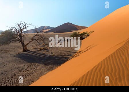 Sanddüne, Sossusvlei, Namib-Wüste, Namib-Naukluft-Park, Hardap Region Republik Namibia Stockfoto