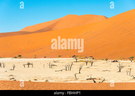 Die Toten Viei (DeadVlei) Pfanne, Namib-Naukluft-Nationalpark, Sossusviei, Namib-Wüste, Hardap Region, Republik Namibia Stockfoto