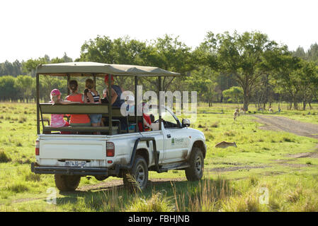 Safari-Jeep, Tier-Welt-Wildpark, Emerald Resort & Casino, Vanderbijlpark, Emfuleni Gemeinde, Gauteng, Südafrika Stockfoto