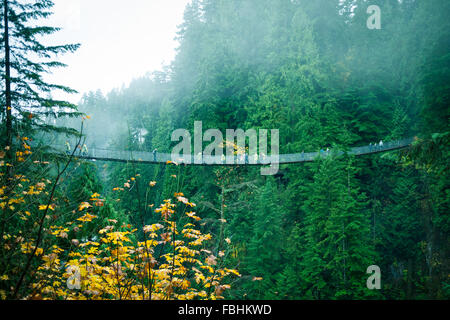 Die Capilano Suspension Bridge, eine beliebte Touristenattraktion am Capilano Suspension Bridge Park in North Vancouver, Kanada. Stockfoto