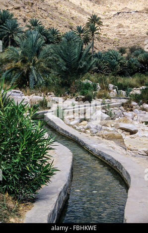 Wadi Bani Khalid, Oman.  Bewässerung-Kanal (Falaj). Stockfoto