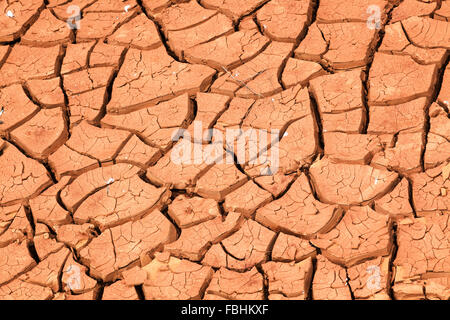 rissigen Boden wegen Trockenheit Stockfoto