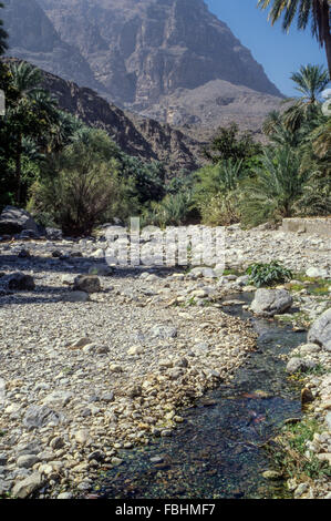 Wadi Bani Kharus, Oman.  Wasser fließt in das Wadi. Stockfoto