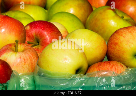 Äpfel zum Verkauf an einen örtlichen Bauernmarkt. Stockfoto