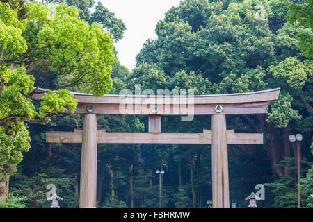 Park der Meiji-Schrein in Tokio Stockfoto