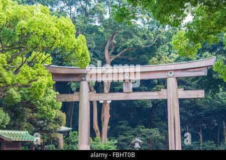 Park der Meiji-Schrein in Tokio Stockfoto
