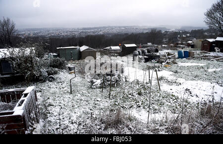 Brighton, Sussex UK bedeckt 17. Januar 2016 - Mieterschaft unten Kleingärten im Schnee in Brighton heute Vormittag als kalte Band des Wetters ganz südlichen Großbritannien breitet sich. Bildnachweis: Simon Dack/Alamy Live-Nachrichten Stockfoto