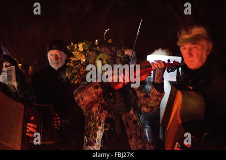 Essex, England. 16. Januar 2016. Vergnügt zum ersten Mal in Clarence House Erhaltung Garten Thaxted Essex, England. 16. Januar 2016 Obstgarten-Besuch Wassail bezieht sich auf den alten Brauch Besuch Obstgärten in der Herstellung von Apfelwein Regionen von England, Beschwörungen rezitieren und singen auf den Bäumen, eine gute Ernte für das kommende Jahr zu fördern. Bildnachweis: BRIAN HARRIS/Alamy Live-Nachrichten Stockfoto