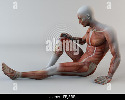 3D, menschliche Körper, Schmerzen im Knie, Muskeln, Muskelriss Stockfoto