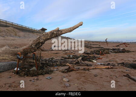 Aberdeen, Großbritannien. 16. Januar 2016. Reinigen Sie am Strand von Aberdeen unterwegs sind. Nach der jüngsten Stürme, die das Ufer mit Ablagerungen aus den Flüssen übersäht Don und Dee Aberdeen, uk. Credit: Stephen Finn/alamy leben Nachrichten Stockfoto