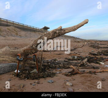 Aberdeen, Großbritannien. 16. Januar 2016. Reinigen Sie am Strand von Aberdeen unterwegs sind. Nach der jüngsten Stürme, die das Ufer mit Ablagerungen aus den Flüssen übersäht Don und Dee Aberdeen, uk. Credit: Stephen Finn/alamy leben Nachrichten Stockfoto