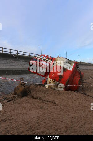 Aberdeen, Großbritannien. 16. Januar 2016. Reinigen Sie am Strand von Aberdeen unterwegs sind. Nach der jüngsten Stürme, die das Ufer mit Ablagerungen aus den Flüssen übersäht Don und Dee Aberdeen, uk. Credit: Stephen Finn/alamy leben Nachrichten Stockfoto