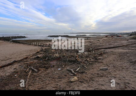 Aberdeen, Großbritannien. 16. Januar 2016. Reinigen Sie am Strand von Aberdeen unterwegs sind. Nach der jüngsten Stürme, die das Ufer mit Ablagerungen aus den Flüssen übersäht Don und Dee Aberdeen, uk. Credit: Stephen Finn/alamy leben Nachrichten Stockfoto