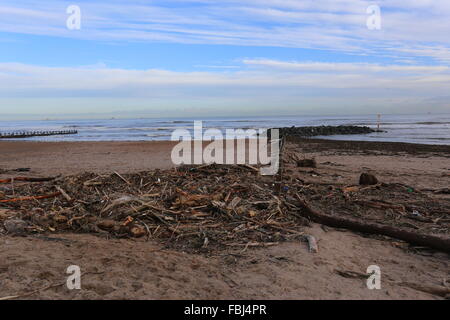 Aberdeen, Großbritannien. 16. Januar 2016. Reinigen Sie am Strand von Aberdeen unterwegs sind. Nach der jüngsten Stürme, die das Ufer mit Ablagerungen aus den Flüssen übersäht Don und Dee Aberdeen, uk. Credit: Stephen Finn/alamy leben Nachrichten Stockfoto