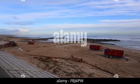 Aberdeen, Großbritannien. 16. Januar 2016. Reinigen Sie am Strand von Aberdeen unterwegs sind. Nach der jüngsten Stürme, die das Ufer mit Ablagerungen aus den Flüssen übersäht Don und Dee Aberdeen, uk. Credit: Stephen Finn/alamy leben Nachrichten Stockfoto