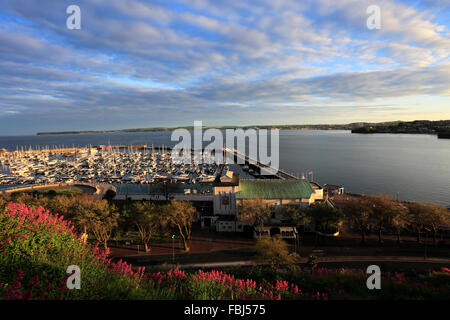 Sonnenuntergang über der Royal Terrassengärten, Torquay Town, Torbay, englische Riviera, Grafschaft Devon, England, UK Stockfoto