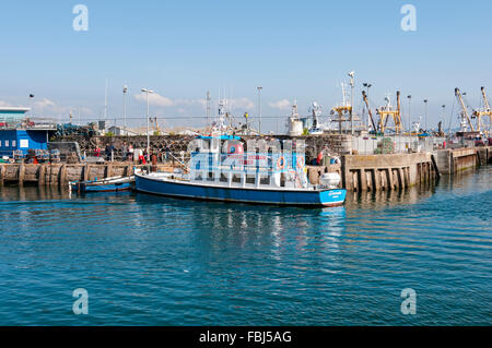 Passagiere warten am Kai in Brixham an Bord der leere Fähre Devon für eine Rückkehr Ausflug in Torbay nach Torquay Stockfoto