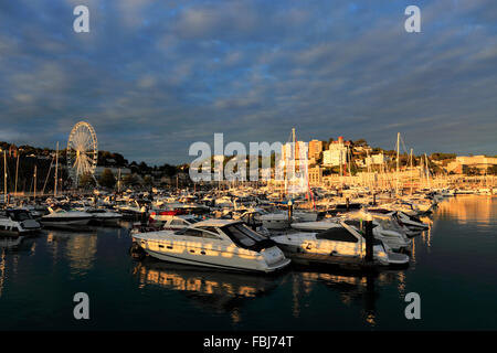 Sonnenuntergang über Torquay Stadt Hafen, Torbay, englische Riviera, Grafschaft Devon, England, UK Stockfoto