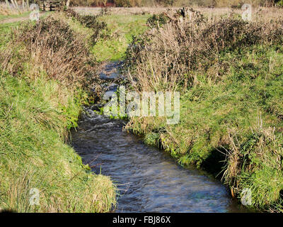 Eine kleine Leat unter Wasser aus dem Fluss Itchen Wasser Wiesen auf die Flussaue, Hockley Meadowas in der Nähe von Winchester. Stockfoto