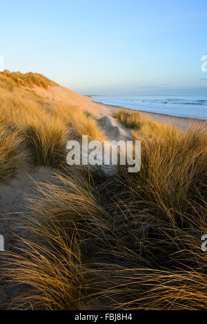 Druridge Bay Stockfoto