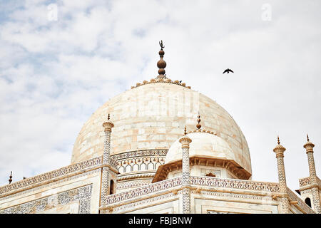 Kuppel, Himmel, Wolken, Vogel, Taj Mahal, Mausoleum, Indien, Agra, Uttar Pradesh Stockfoto
