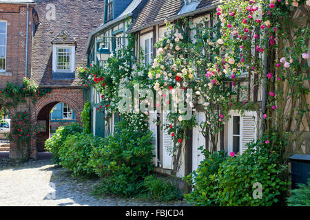 Rose-Umgebung in Gerberoy Stockfoto