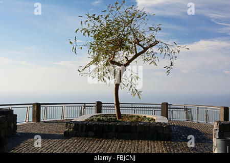 Madeira, Aussichtspunkt am Cabo Girão Stockfoto