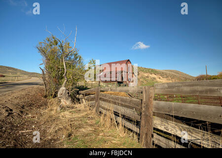 Rinder-Corral und rostige alte rote Scheune Stockfoto