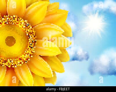 Schöne Sonnenblumen vor blauem Himmel. EPS 10 Stock Vektor