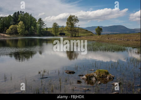 Wise Een Tarn auf Colthouse Höhen in der Nähe von weit Sawrey Stockfoto