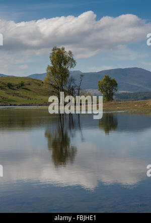 Kluge Een Tarn auf Colthouse Höhen Cumbria Stockfoto