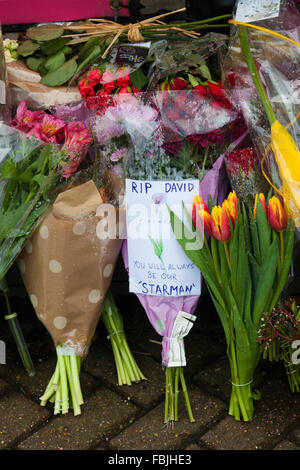 David Bowie, Gedenkfeiern außerhalb der ehemaligen drei Tuns Public House, Beckenham, London, UK, nach seinem Tod im Januar 2016. Stockfoto