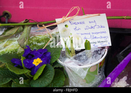 David Bowie, Gedenkfeiern außerhalb der ehemaligen drei Tuns Public House, Beckenham, London, UK, nach seinem Tod im Januar 2016. Stockfoto