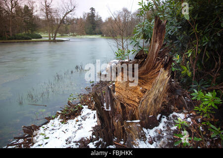 Claremont, Surrey, UK 17. Januar 2016 Winter erreicht Teilen Südenglands mit einer Streuung von Schnee in Surrey. Claremont, 18. Jh. Gartenteich zufriert, und einer dünnen Schneedecke sitzen auf Teile der Landschaft sinken die Temperaturen in ganz Großbritannien. Bildnachweis: Jeff Gilbert/Alamy Live-Nachrichten Stockfoto