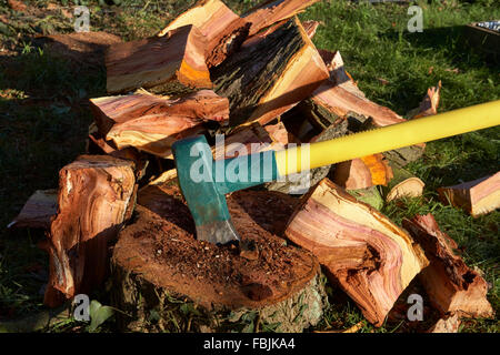 Maul Axt eingebettet in Baumstumpf umgeben von Stückholz Stockfoto