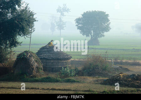 Irgendwo auf der Seite des Yamuna express Highway, Uttar Pradesh, Indien Stockfoto