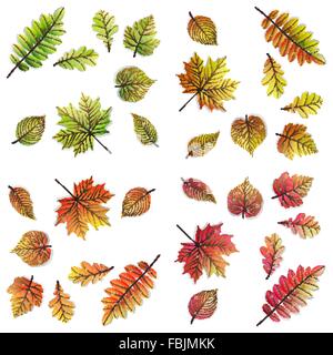 32 bunte Blätter - Herbst, Frühling eingestellt. Stock Vektor