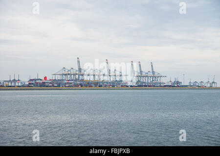 Reihe von großen Hafenkräne im Rotterdamer Hafen Stockfoto