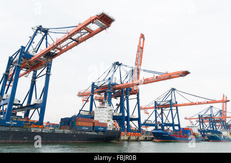 ROTTERDAM, Niederlande - 28. Juni 2015: Große Hafen Krane Containerschiffe beladen. Rotterdam ist der größte Hafen Europas. Stockfoto