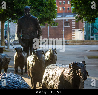 Schafe auf der Straße ist eine Skulptur im Freien befindet sich in Belfast, Nordirland. Stockfoto