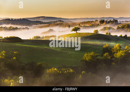 Bäume und Obstgärten auf den italienischen Feldern. Toskana Herbst Tag. Stockfoto