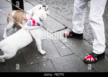 Skinhead mit Union Jack auf Dr Martens Stiefel in der Straße mit dem Britischen Bulldoggen UK Stockfoto