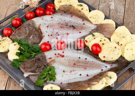 Rohe Turbot Fish Stockfoto