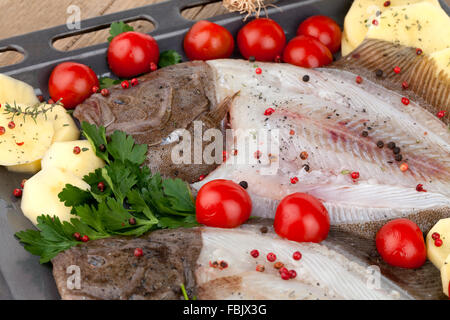 Rohe Turbot Fish mit Kartoffelscheiben Stockfoto