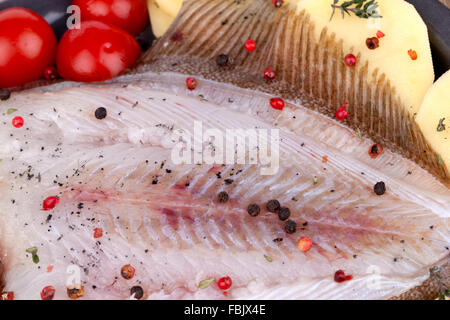 Rohe Turbot Fisch gehäutet Stockfoto